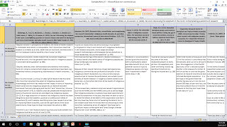 How to Create a Literature Matrix Excel [upl. by Rhiana928]