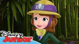 Sofia the First  Stronger Than You Know  Official Disney Junior Africa [upl. by Hescock]