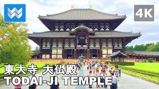 4K Nara Park Japan  Todaiji Temple Daibutsuden GIANT BUDDHA Walking Tour amp Travel Guide 🎧 [upl. by Stodder859]