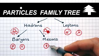 Classification of Particles  A Level Physics [upl. by Fugazy]