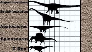 Dinosaur Size Comparison 2D [upl. by Nilcaj]