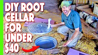 Our Simple Inexpensive Root Cellar Build [upl. by Nolyad]