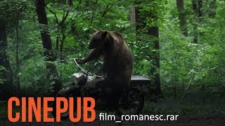 URSUL  Film Romanesc comedie  CINEPUB [upl. by Schuman326]