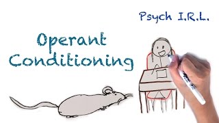 What is Operant Conditioning [upl. by Hamachi]