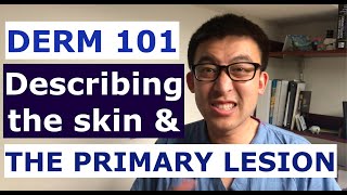 DERM 101  The Primary Lesion and Describing the Skin Exam [upl. by Llenram]