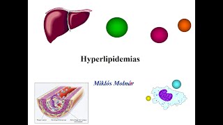 Pathophysiology of Hyperlipidemia [upl. by Karilynn]