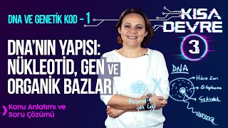 8 Sınıf Fen Bilimleri DNA ve Genetik Kod – 1 Kromozom DNA Gen Nükleotid  Lightboard ile Ders 3 [upl. by Sayers414]