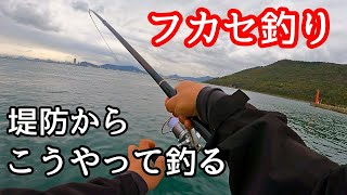 堤防からのフカセ釣りで考えること【瀬戸内】 [upl. by Rorrys]