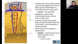 USMLE Step 1  Renal Physiology High Yield BRS Concepts [upl. by Airot]