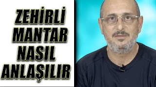 Zehirli mantar nasıl anlaşılır [upl. by Araik]