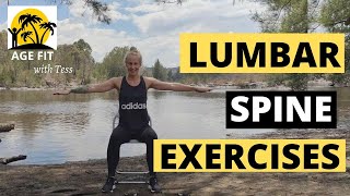 Lumbar Spondylosis Exercises [upl. by Sall]