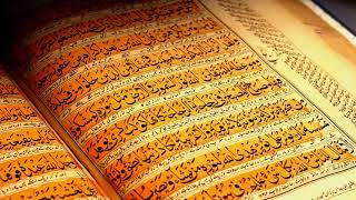 Full Quran 1 30 Para সু মধুর কন্ঠে সম্পূর্ণ ৩০পারা কোরআন তেলাওয়াত। al quran quran explorer [upl. by Airamas87]