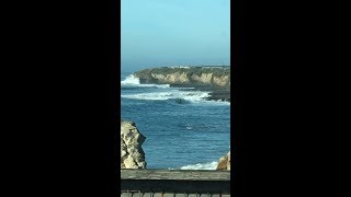 Surfing mid January Davenport California [upl. by Anawaj698]