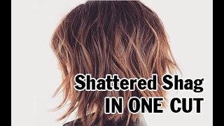 Quick Haircut How to do a quotShattered Shag Haircutquot in One Cut [upl. by Natalya]