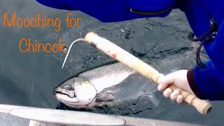 Mooching for Salmon in Alaska  Epic Alaska Salmon Fishing Bite [upl. by Yevad]