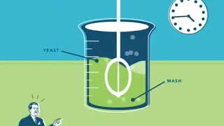 How Ethanol Is Made [upl. by Katonah]