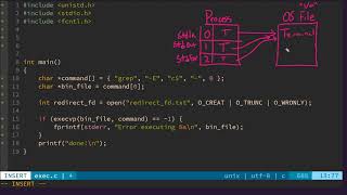 382  The dup2 System Call  A C tutorial for redirecting stdin and stdout using system calls [upl. by Poll]