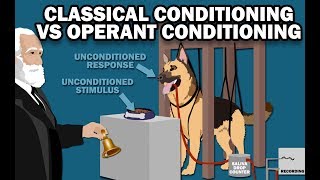 CLASSICAL VS OPERANT CONDITIONING [upl. by Fugazy351]