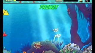 Feeding Frenzy 1 gameplay level 1 to 10 [upl. by Emya]