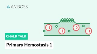 Primary Hemostasis  Part 1 Platelet Adhesion [upl. by Pollack]