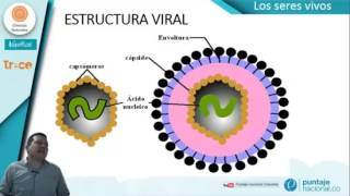 Clasificación de los seres vivos [upl. by Jacqueline]