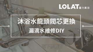 水龍頭漏水維修DIY－5分鐘更換浴室沐浴水龍頭閥芯 [upl. by Eedoj772]