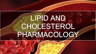 Lipid Lowering Agents Cholesterol Drugs [upl. by Barn16]