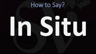 How to Pronounce In Situ CORRECTLY [upl. by Ecniuq445]