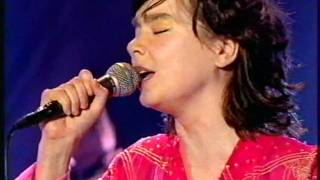 BJORK  BacheloretteJoga  NPA LIVE 1998 [upl. by Akeirahs158]