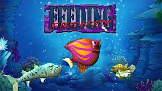 Feeding Frenzy Trailer [upl. by Aihsercal687]