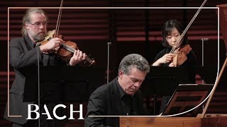 Bach  Harpsichord concerto in F minor BWV 1056  Henstra  Netherlands Bach Society [upl. by Sell237]