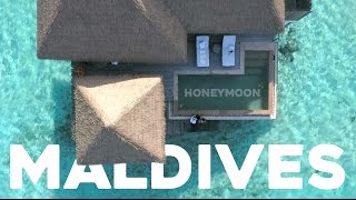 TRAVELVLOGGG 53 Honeymoon Di Maldives [upl. by Lidstone]