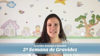 2ª Semana de gravidez [upl. by Jeremie]