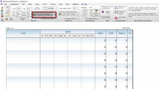 Milestones Professional Tutorial Schedule Size [upl. by Niessuh588]