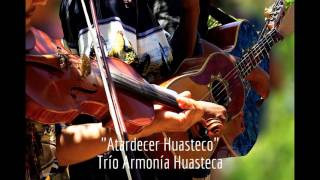 Los Mejores Huapangos Huastecos del Trío Armonía Huasteca [upl. by Aicirtam322]