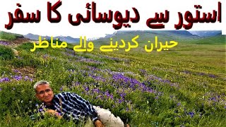 Traveling to Deosai National Park  from Astore Valley  Shausar Lake  Bara Pani  Skardu [upl. by Neira]