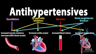 Antihypertensive Medications  Pharmacology Animation [upl. by Ayotyal]