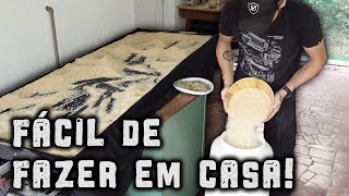 Como armazenar arroz para durar 10 ANOS  Preparado [upl. by Leoine]