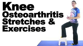 Knee Osteoarthritis OA Stretches amp Exercises  Ask Doctor Jo [upl. by Dietsche223]