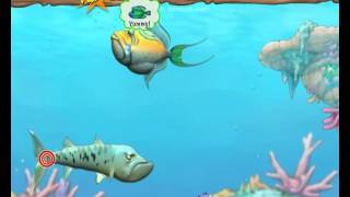 Feeding Frenzy 2 walkthrough full gameplay no commentary [upl. by Frasquito]