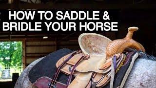 HOW TO TACK UP YOUR HORSE WESTERN [upl. by Lizzy995]