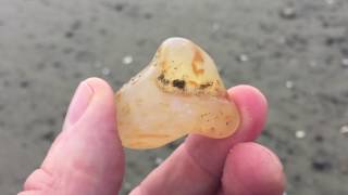 Agate Hunting and Identification at Ocean Shores WA [upl. by Aidul]