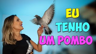 COMO VIVE UM POMBO CEGO  A HISTÓRIA DO TITI [upl. by Wootan435]