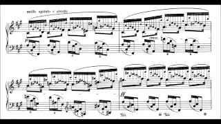 Chopin 24 Preludes Op28 Blechacz [upl. by Guod]