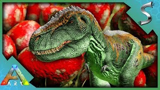 BREEDING REXES amp STACKING THE BEST STATS  Ultimate Ark E20  The Island [upl. by Chobot]