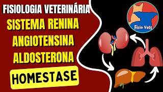 Sistema reninaangiotensinaaldosterona Controle da pressão arterial [upl. by Olympia]