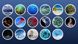 Marine Biology at Home 1 Introduction [upl. by Vernen530]