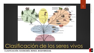 Clasificación de los seres vivos [upl. by Weaks]