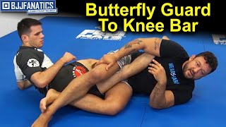 Butterfly Guard To Knee Bar  BJJ Techniques by Tom DeBlass [upl. by Blen]