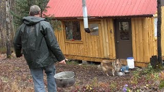 Life in an Off Grid Cabin [upl. by Atenik]